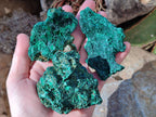 Natural Silky Malachite Specimens x 6 From Kasompe, Congo - Toprock Gemstones and Minerals 