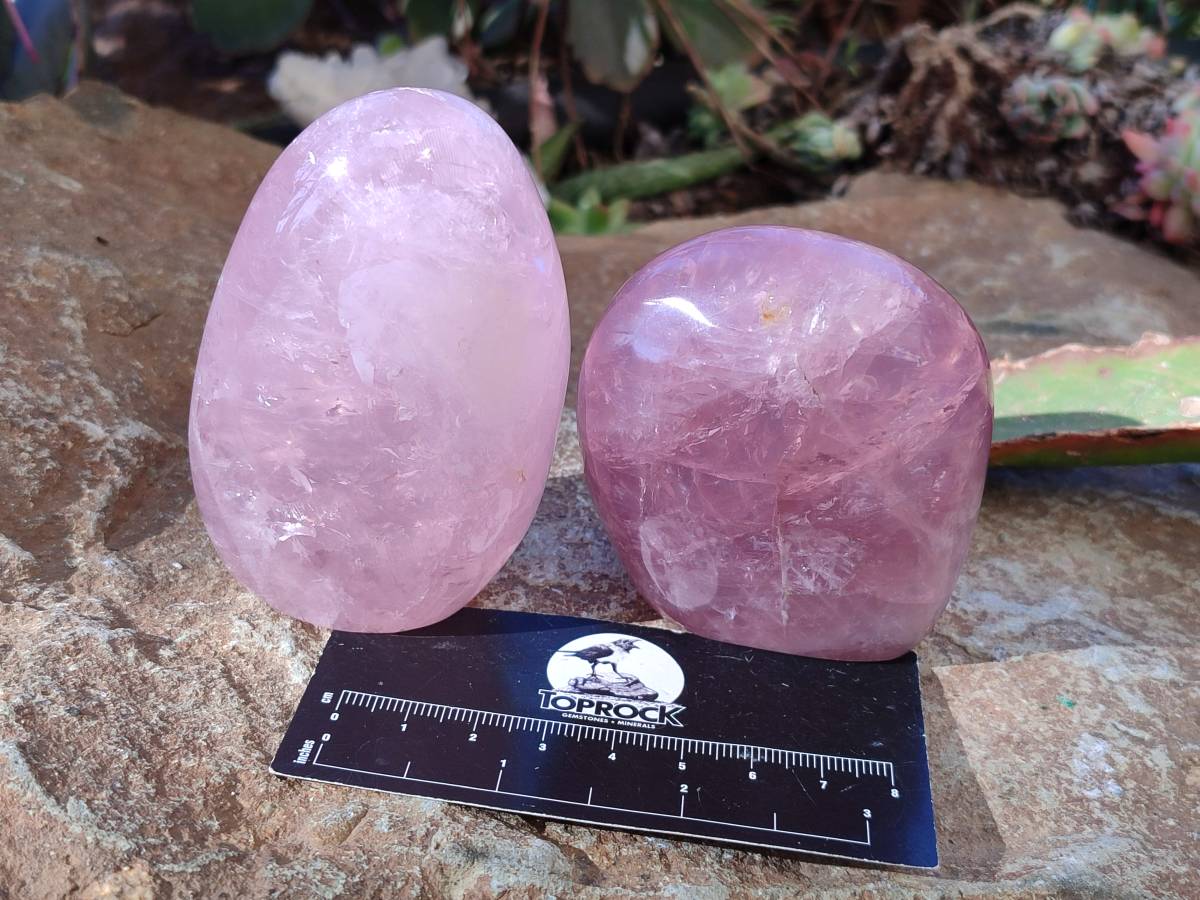 Polished Star Rose Quartz Standing Free Forms x 6 Ambatondrazaka, Madagascar - Toprock Gemstones and Minerals 