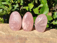 Polished Star Rose Quartz Standing Free Forms x 6 Ambatondrazaka, Madagascar - Toprock Gemstones and Minerals 