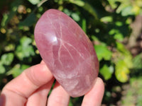 Polished Star Rose Quartz Standing Free Forms x 6 Ambatondrazaka, Madagascar - Toprock Gemstones and Minerals 