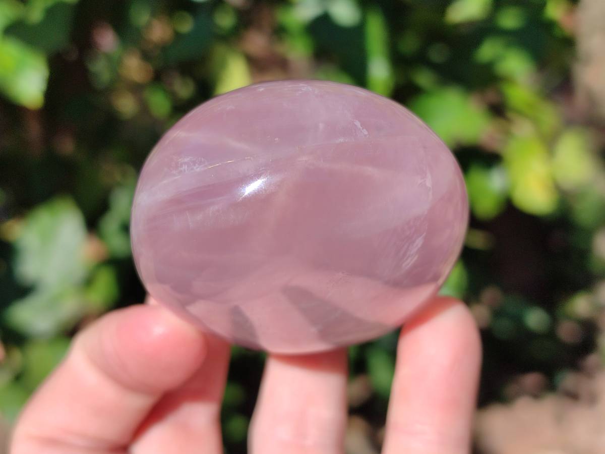 Polished Star Rose Quartz Standing Free Forms x 6 Ambatondrazaka, Madagascar - Toprock Gemstones and Minerals 