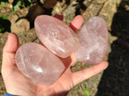 Polished Star Rose Quartz Standing Free Forms x 6 Ambatondrazaka, Madagascar - Toprock Gemstones and Minerals 