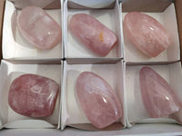 Polished Star Rose Quartz Standing Free Forms x 6 Ambatondrazaka, Madagascar - Toprock Gemstones and Minerals 