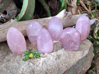 Polished Star Rose Quartz Standing Free Forms x 6 Ambatondrazaka, Madagascar - Toprock Gemstones and Minerals 