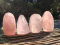 Polished Star Rose Quartz Standing Free Forms x 6 Ambatondrazaka, Madagascar - Toprock Gemstones and Minerals 