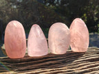 Polished Star Rose Quartz Standing Free Forms x 6 Ambatondrazaka, Madagascar - Toprock Gemstones and Minerals 