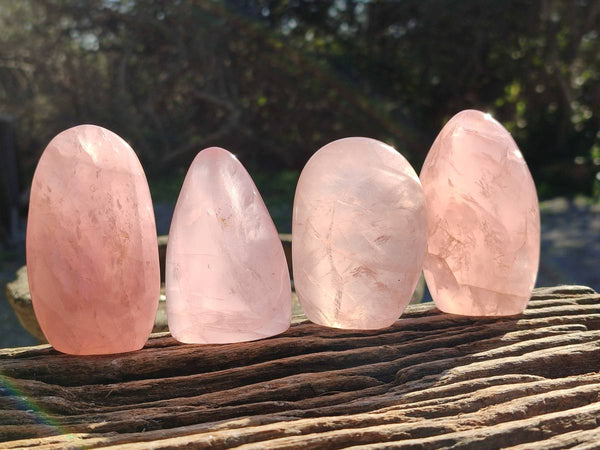Polished Star Rose Quartz Standing Free Forms x 6 Ambatondrazaka, Madagascar - Toprock Gemstones and Minerals 