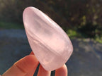 Polished Star Rose Quartz Standing Free Forms x 6 Ambatondrazaka, Madagascar - Toprock Gemstones and Minerals 