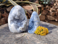 Polished Blue Celestite Crystal Centered Standing Free Forms x 2 From Madagascar - Toprock Gemstones and Minerals 
