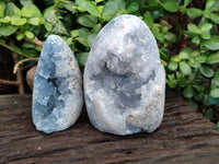 Polished Blue Celestite Crystal Centered Standing Free Forms x 2 From Madagascar - Toprock Gemstones and Minerals 