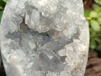 Polished Blue Celestite Crystal Centered Standing Free Forms x 2 From Madagascar - Toprock Gemstones and Minerals 