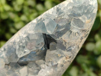 Polished Blue Celestite Crystal Centered Standing Free Forms x 2 From Madagascar - Toprock Gemstones and Minerals 