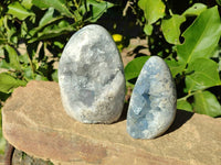 Polished Blue Celestite Crystal Centered Standing Free Forms x 2 From Madagascar - Toprock Gemstones and Minerals 