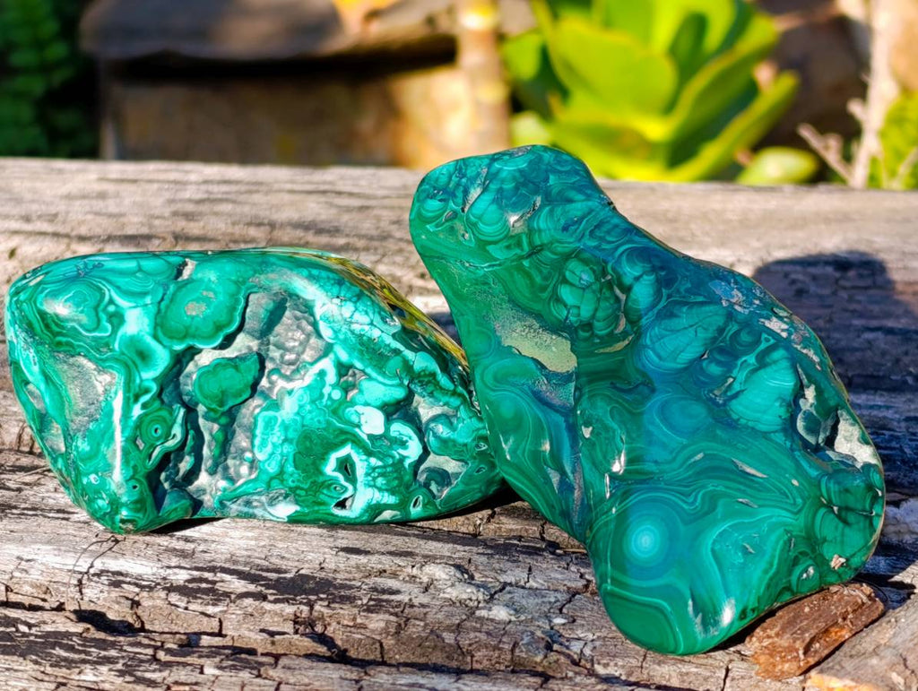 Polished Flower Banded Malachite Free Forms x 6 From Congo - Toprock Gemstones and Minerals 