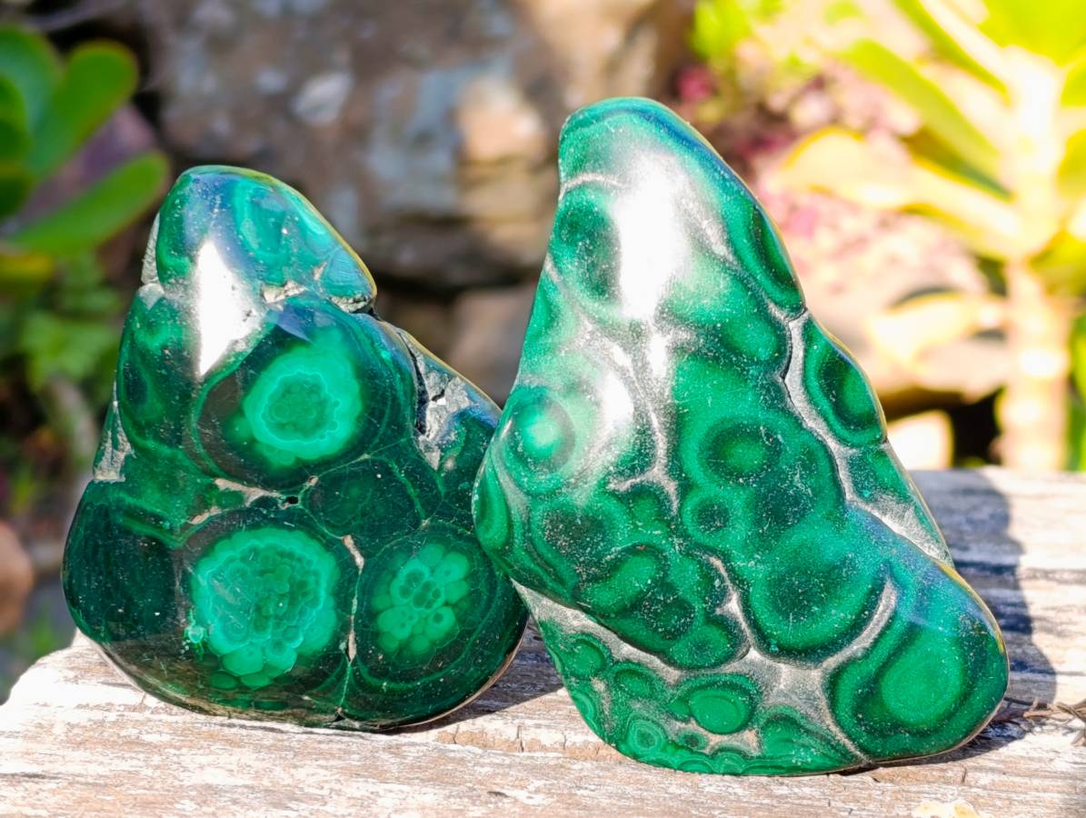 Polished Flower Banded Malachite Free Forms x 6 From Congo - Toprock Gemstones and Minerals 