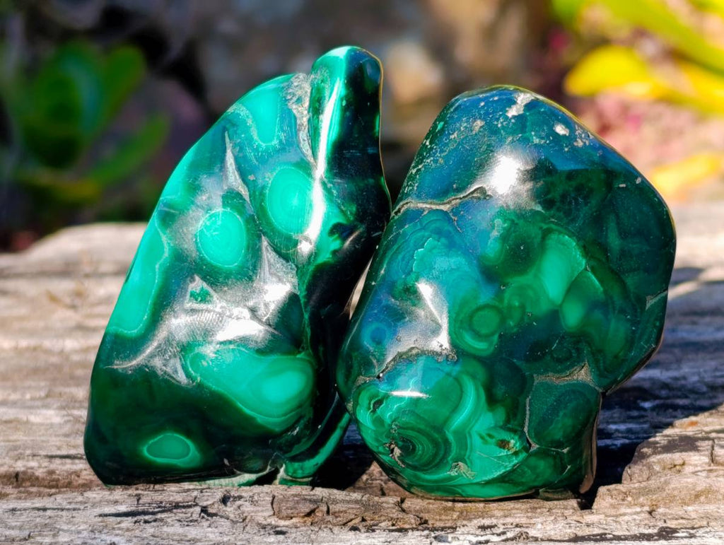 Polished Flower Banded Malachite Free Forms x 6 From Congo - Toprock Gemstones and Minerals 