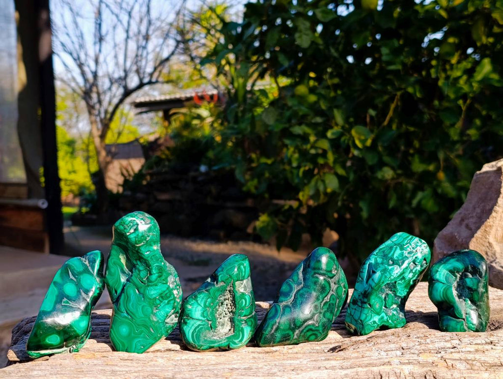 Polished Flower Banded Malachite Free Forms x 6 From Congo - Toprock Gemstones and Minerals 