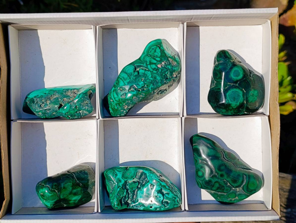 Polished Flower Banded Malachite Free Forms x 6 From Congo - Toprock Gemstones and Minerals 