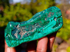 Polished Flower Banded Malachite Free Forms x 6 From Congo - Toprock Gemstones and Minerals 