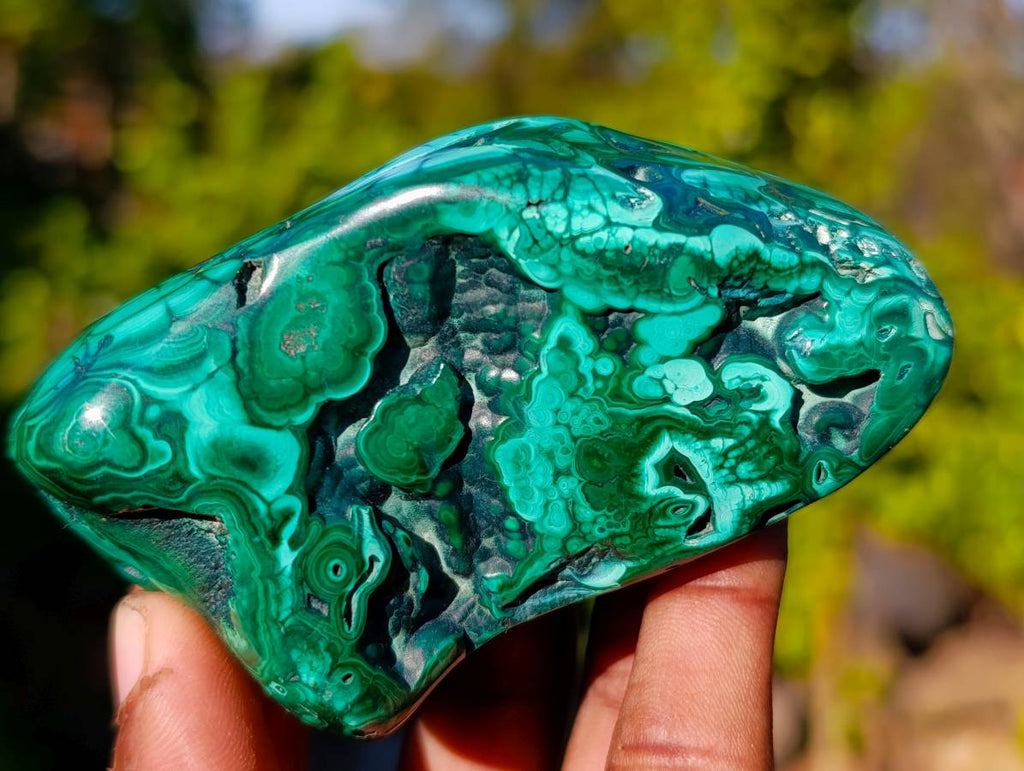 Polished Flower Banded Malachite Free Forms x 6 From Congo - Toprock Gemstones and Minerals 