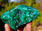 Polished Flower Banded Malachite Free Forms x 6 From Congo - Toprock Gemstones and Minerals 