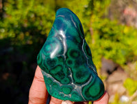 Polished Flower Banded Malachite Free Forms x 6 From Congo - Toprock Gemstones and Minerals 