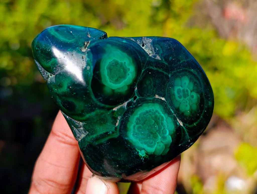 Polished Flower Banded Malachite Free Forms x 6 From Congo - Toprock Gemstones and Minerals 