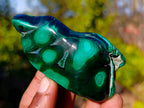Polished Flower Banded Malachite Free Forms x 6 From Congo - Toprock Gemstones and Minerals 