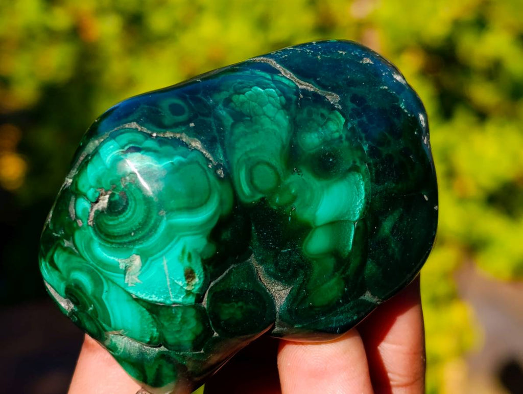 Polished Flower Banded Malachite Free Forms x 6 From Congo - Toprock Gemstones and Minerals 