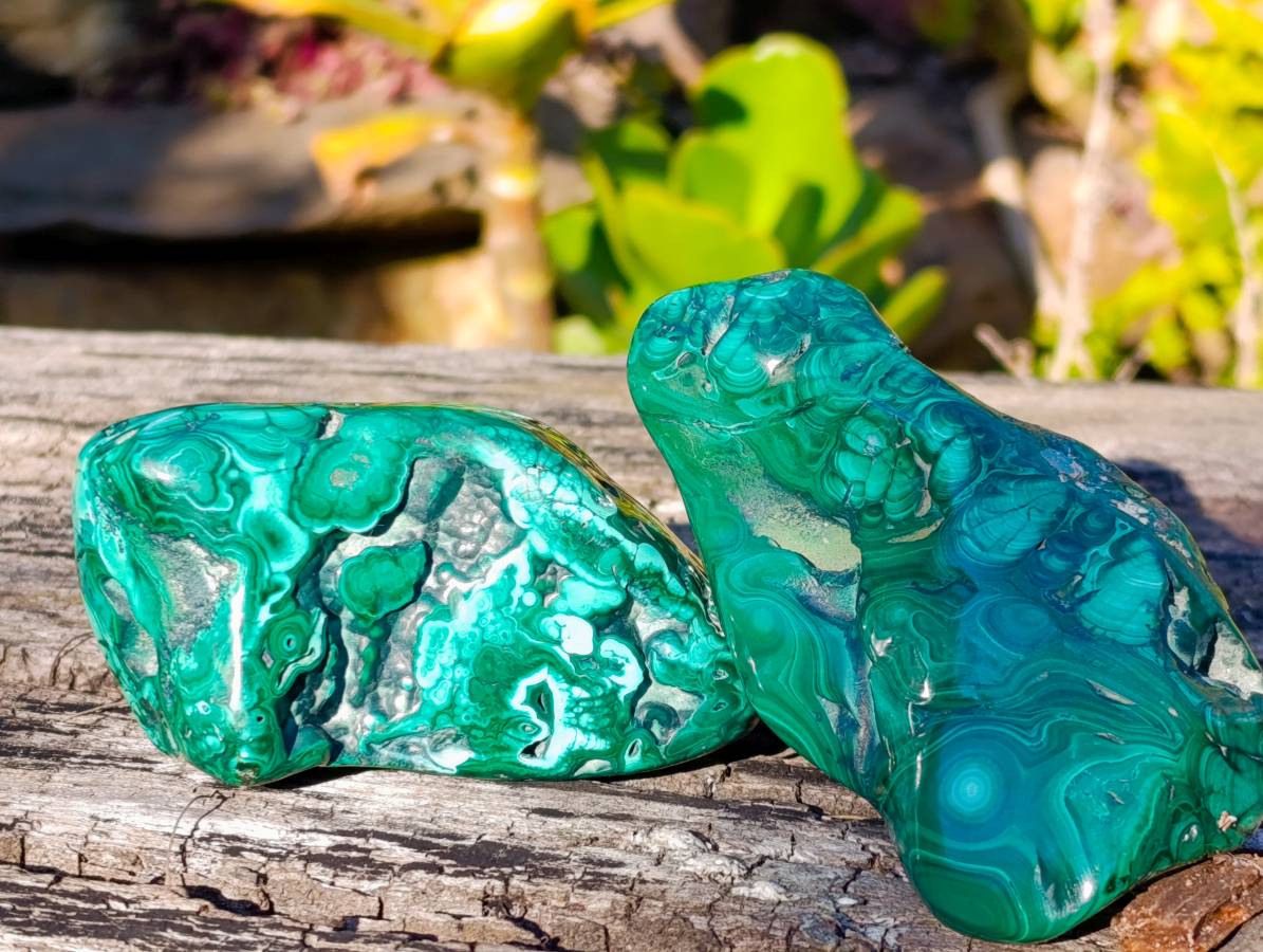 Polished Flower Banded Malachite Free Forms x 6 From Congo - Toprock Gemstones and Minerals 