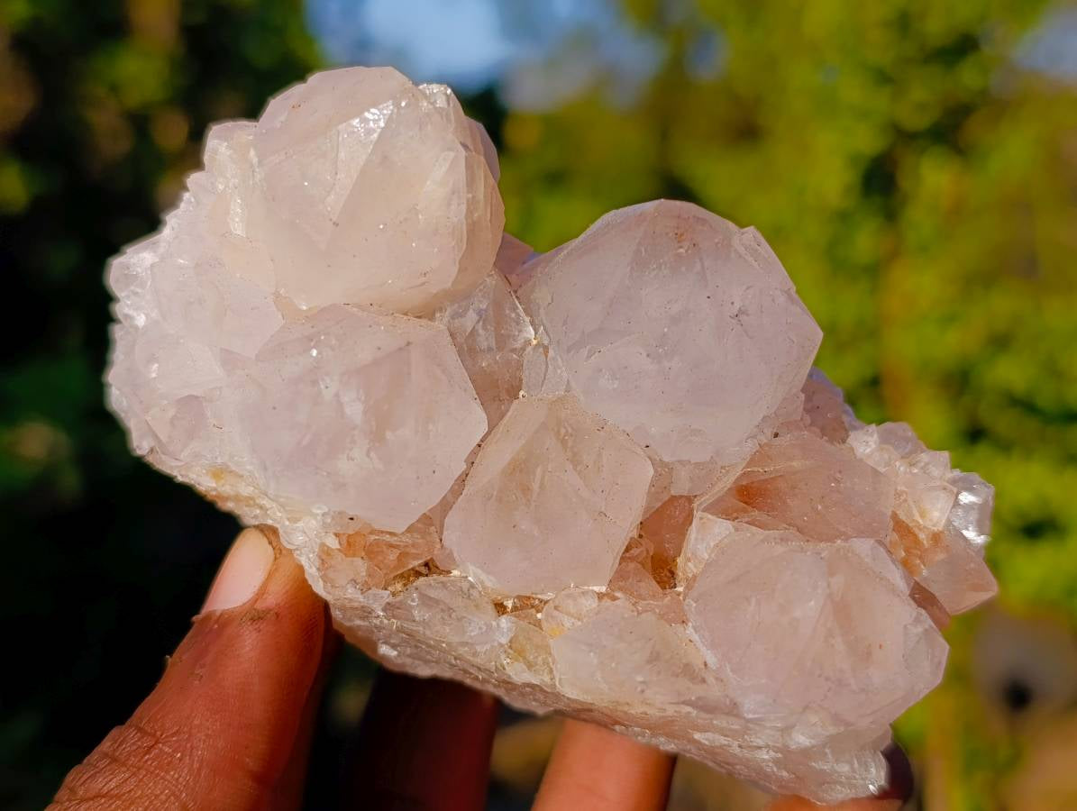Natural Golden Limonite Coated Spirit Quartz Clusters x 3 From South Africa - Toprock Gemstones and Minerals 