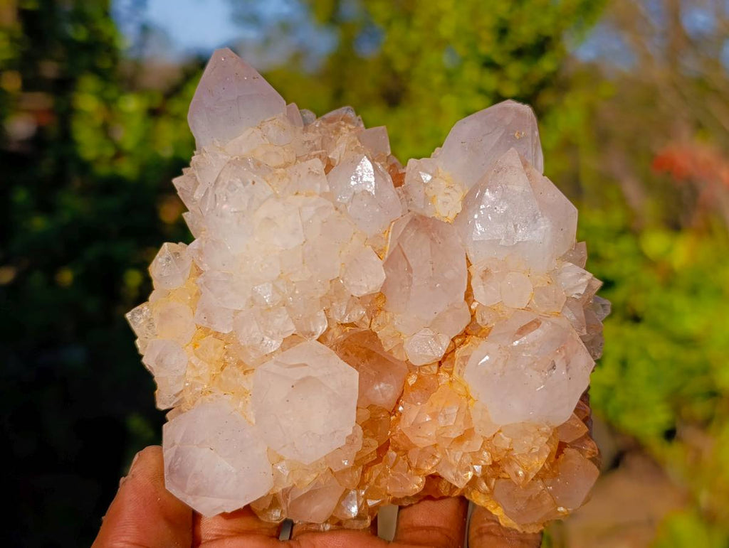 Natural Golden Limonite Coated Spirit Quartz Clusters x 3 From South Africa - Toprock Gemstones and Minerals 