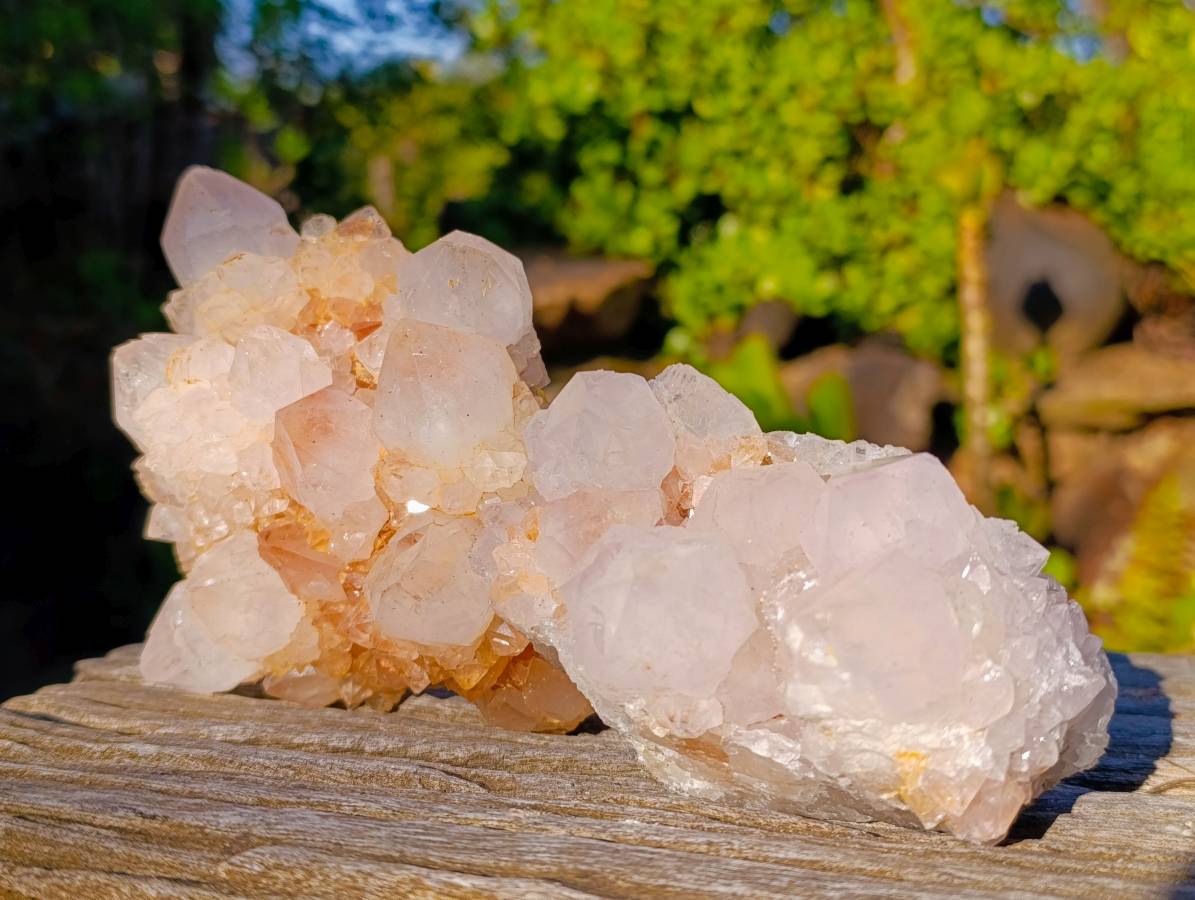 Natural Golden Limonite Coated Spirit Quartz Clusters x 3 From South Africa - Toprock Gemstones and Minerals 