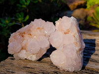 Natural Golden Limonite Coated Spirit Quartz Clusters x 3 From South Africa
