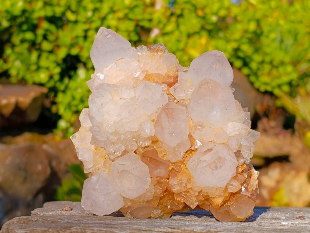 Natural Golden Limonite Coated Spirit Quartz Clusters x 3 From South Africa - Toprock Gemstones and Minerals 