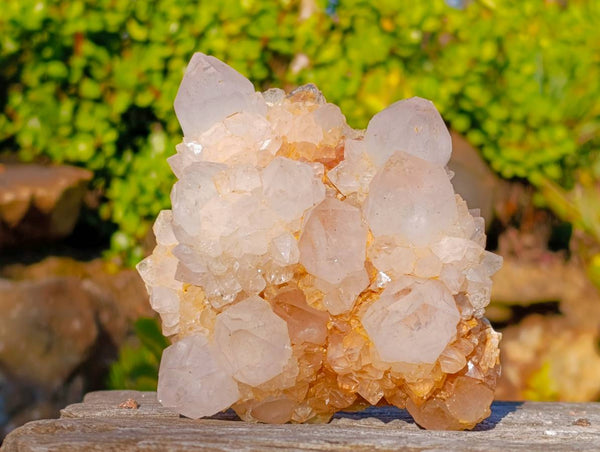 Natural Golden Limonite Coated Spirit Quartz Clusters x 3 From South Africa
