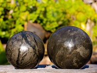 Polished Pharaoh Stone Spheres x 3 Zimbabwe