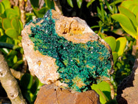 Natural XX Rare Crystalline Malachite Specimens x 1 From Congo