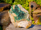 Natural XX Rare Crystalline Malachite Specimens x 1 From Congo - Toprock Gemstones and Minerals 