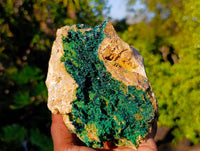 Natural XX Rare Crystalline Malachite Specimens x 1 From Congo