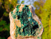 Natural XX Rare Crystalline Malachite Specimens x 1 From Congo