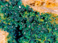 Natural XX Rare Crystalline Malachite Specimens x 1 From Congo