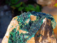 Natural XX Rare Crystalline Malachite Specimens x 1 From Congo