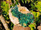 Natural XX Rare Crystalline Malachite Specimens x 1 From Congo - Toprock Gemstones and Minerals 