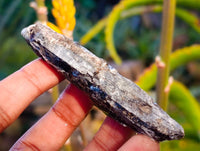 Natural Kyanite Crystals x 2.01 Kg Lot From Karoi, Zimbabwe