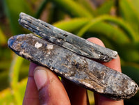 Natural Kyanite Crystals x 2.01 Kg Lot From Karoi, Zimbabwe