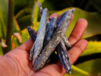 Natural Kyanite Crystals x 2.01 Kg Lot From Karoi, Zimbabwe