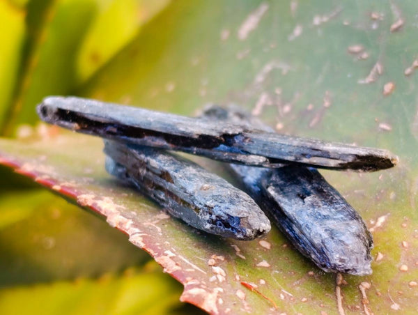 Natural Kyanite Crystals x 2.01 Kg Lot From Karoi, Zimbabwe