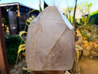 Polished Smokey Quartz Crystal x 1 From Angola