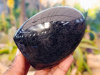 Polished Black Tourmaline Standing Free Form x 4 From Madagascar - Toprock Gemstones and Minerals 